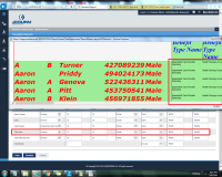 Report Branding Setting-2 .png
