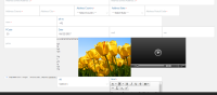 VideoComponent.png