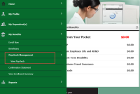 Paycheck Management under ee view_WT12091.png